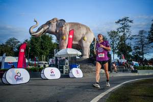 BIB: 
                            <button type="button" onclick="openModal(26541966)" class="btn btn-primary btn-sm float-right btn-popup" data-toggle="modal" data-target=".modal-high-quality">
                        <i class="fas fa-shopping-cart"></i> Add to Cart
                    </button>
                                            <button type="button" onclick="isThisMe(26541966, true)" class="btn btn-success btn-sm float-right btn-popup btn-isme hidden" data-toggle="tooltip" data-placement="bottom" title="นี่คือรูปของคุณใช่ไหม คลิกที่นี่เพื่อเอาเข้าอัลบั้ม">
                        <i class="fas fa-plus"></i> Add to album
                    </button>
                    <button type="button" onclick="isThisMe(26541966, false)" class="btn btn-warning btn-sm float-right btn-popup btn-isnotme hidden">
                        <i class="fas fa-ban"></i> Remove from album
                    </button>